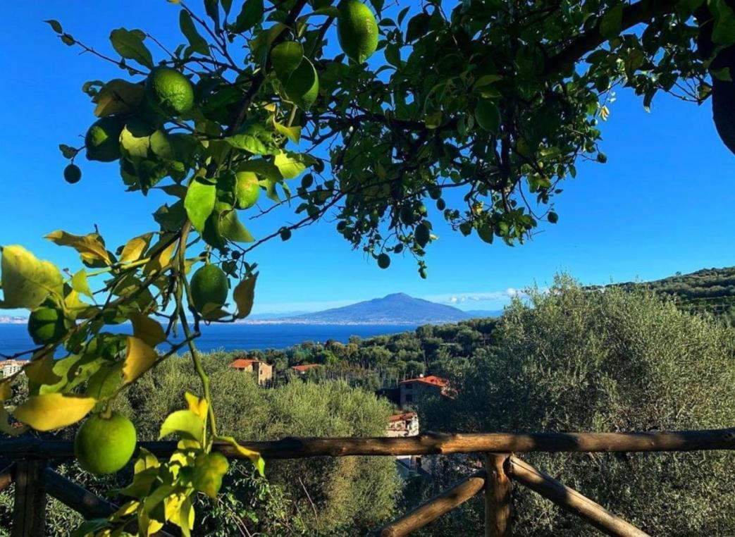 Sorrento Plus Lemon Experience