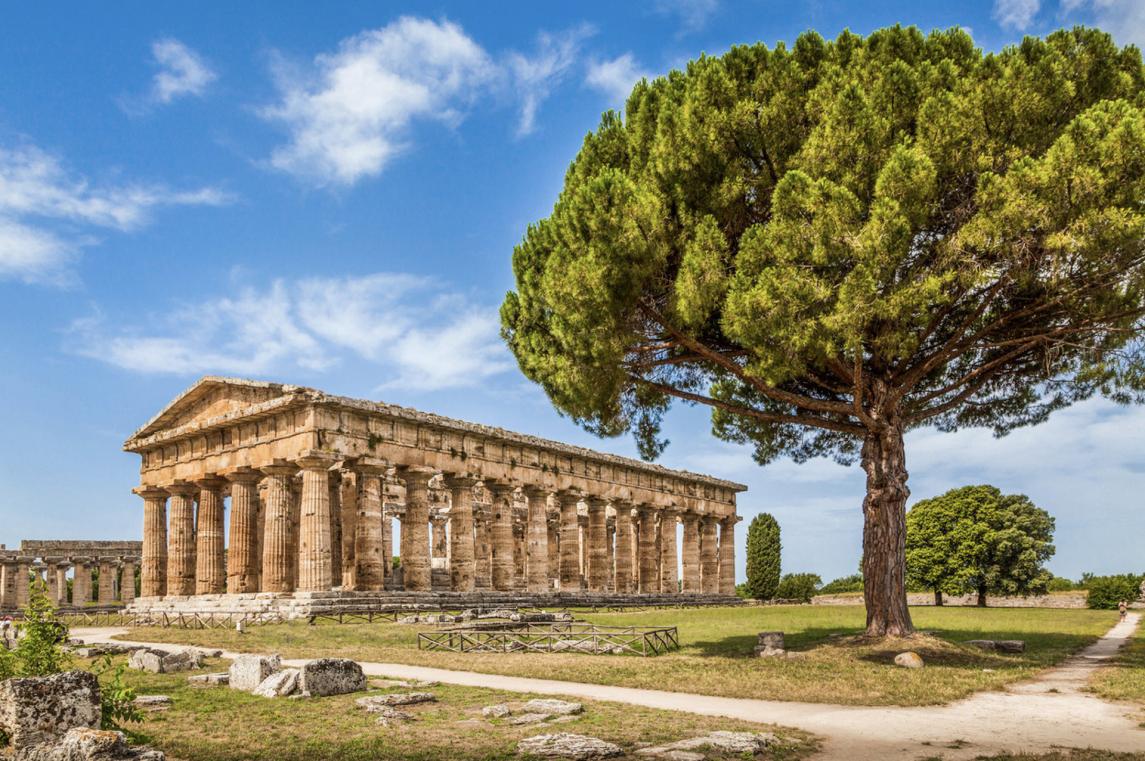Paestum Greek Temples and Buffalo mozzarella cheese Factory